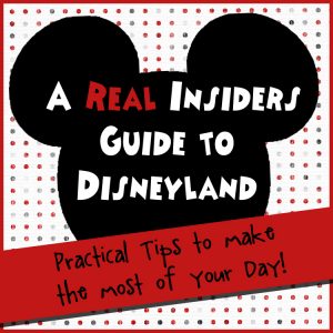 Button 300x300 Insiders Guide to Disneyland!