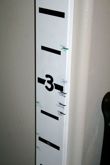 Moveable Measure Stick IMG 1742 383x575 Moveable Measure Stick