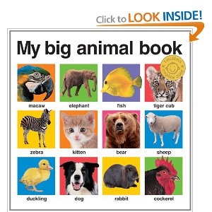 Favorite Things Little Boys Edition 61gHMrl9S1L. BO2204203200 PIsitb sticker arrow clickTopRight35 76 AA300 SH20 OU01 Favorite Things Little Boys Edition