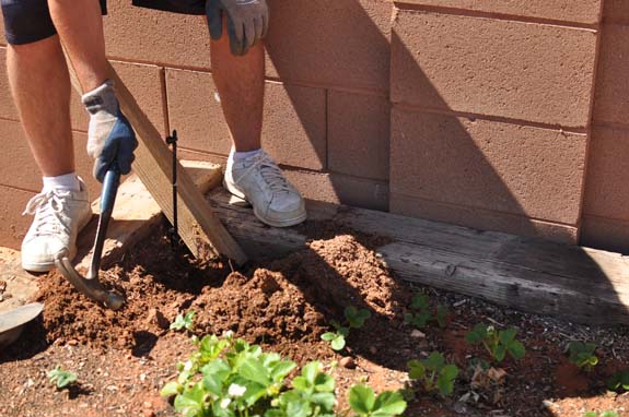 Gardening Basics Planters, Beds, and Trellises DSC 0042 Gardening Basics Planters, Beds, and Trellises