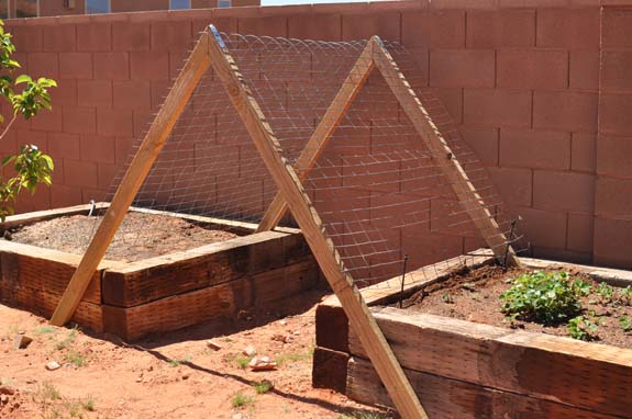 Gardening Basics Planters, Beds, and Trellises DSC 0049 Gardening Basics Planters, Beds, and Trellises