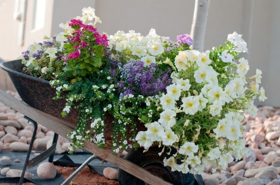Gardening Basics Planters, Beds, and Trellises dsc 3841 575x381 Gardening Basics Planters, Beds, and Trellises