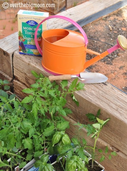 Garden Basics Planting & Pests plantingagarden5 427x575 Garden Basics Planting & Pests
