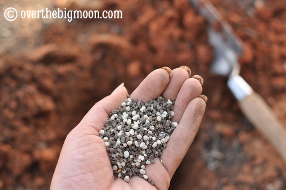 Garden Basics Planting & Pests plantingagarden7 Garden Basics Planting & Pests