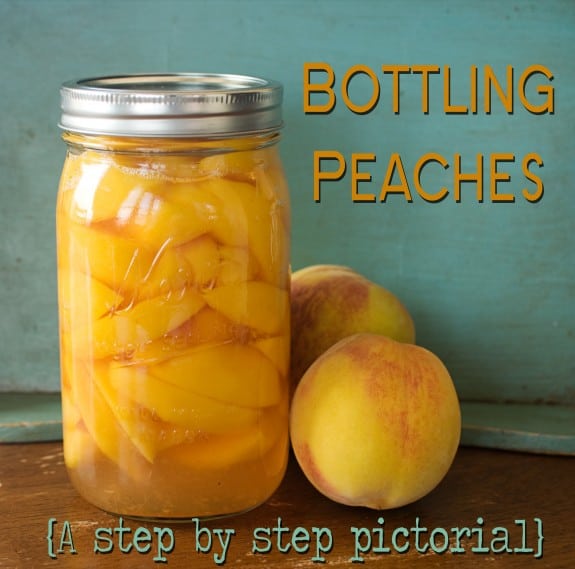 Bottling Peaches A step by step pictorial DSC 0183 575x569 Bottling Peaches A step by step pictorial