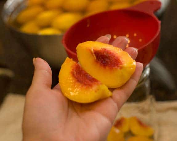 Bottling Peaches A step by step pictorial canningpeaches18 Bottling Peaches A step by step pictorial