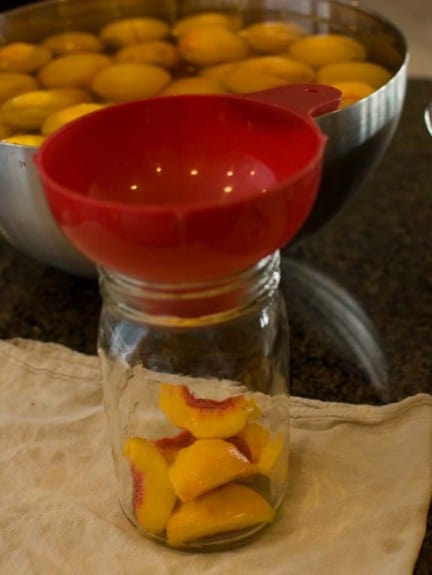 Bottling Peaches A step by step pictorial canningpeaches19 432x575 Bottling Peaches A step by step pictorial
