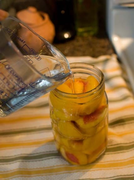 Bottling Peaches A step by step pictorial canningpeaches22 427x575 Bottling Peaches A step by step pictorial