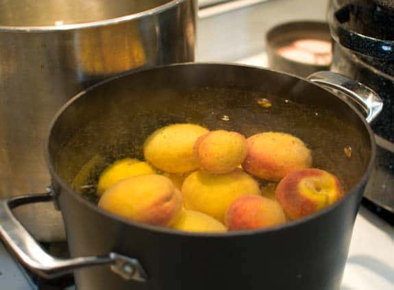 Bottling Peaches A step by step pictorial canningpeaches9 Bottling Peaches A step by step pictorial