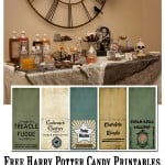 Harry Potter 2 liter bottle labels 1