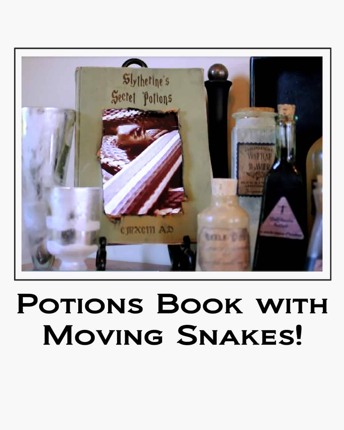 Potions Book with Moving Snakes button 