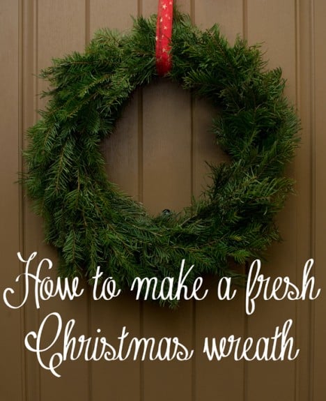 fresh christmas wreath 468x575 How to Make a Live Christmas Wreath