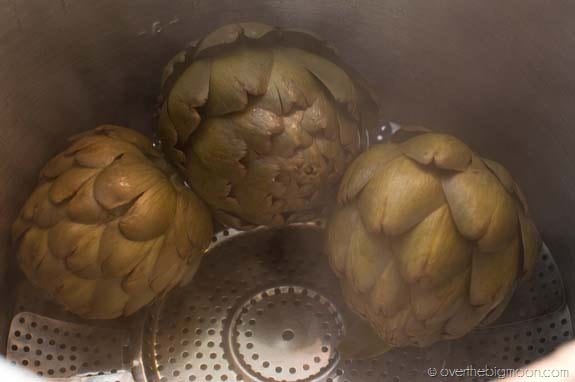 How to Eat an Artichoke DSC 0001 thumb1 How to Eat an Artichoke