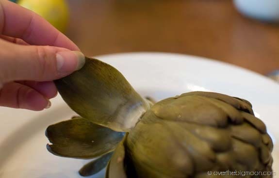 How to Eat an Artichoke DSC 0015 thumb1 How to Eat an Artichoke