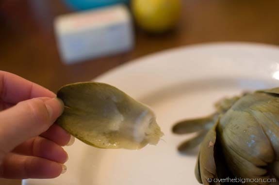 How to Eat an Artichoke DSC 0017 thumb1 How to Eat an Artichoke