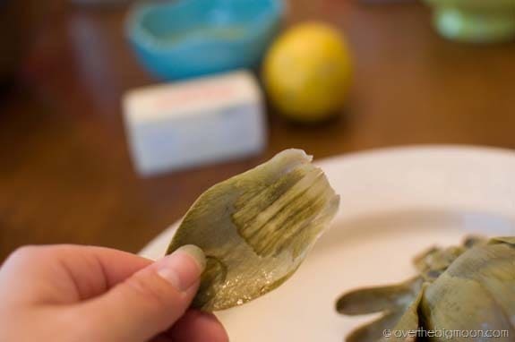 How to Eat an Artichoke DSC 0018 thumb1 How to Eat an Artichoke