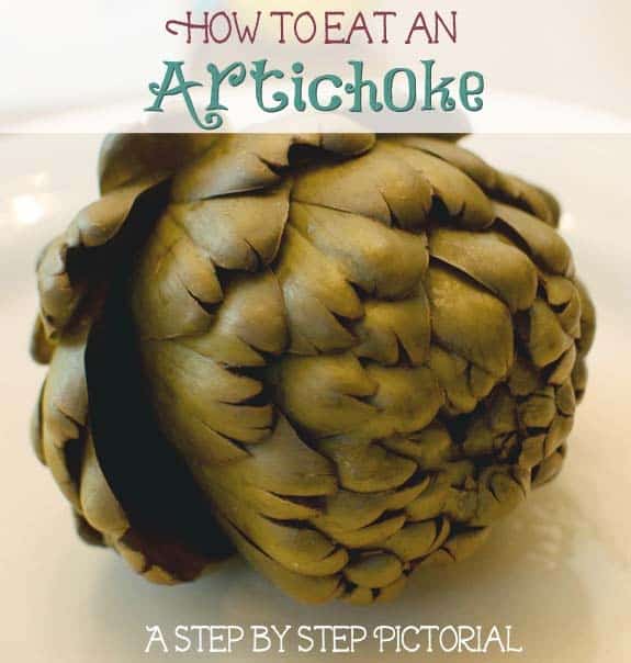 How to Eat an Artichoke button thumb1 How to Eat an Artichoke