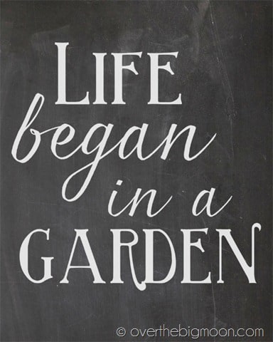 Life began in a garden chalkboard thumb Potting Time!