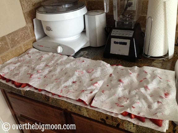 My Afternoon with Strawberries! dry My Afternoon with Strawberries!