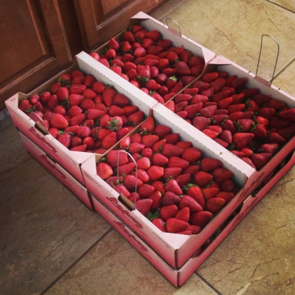 My Afternoon with Strawberries! strawberries 575x575 My Afternoon with Strawberries!