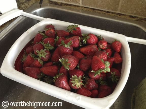 My Afternoon with Strawberries! strawberries1 My Afternoon with Strawberries!