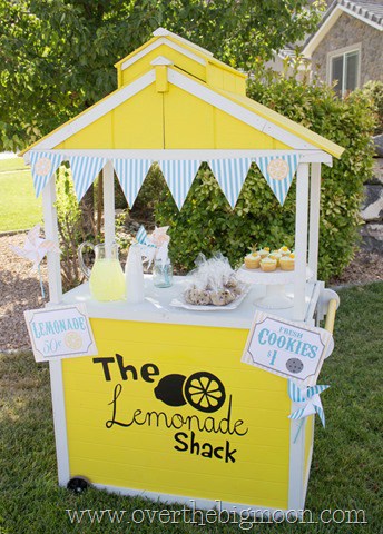 lemonade stand7