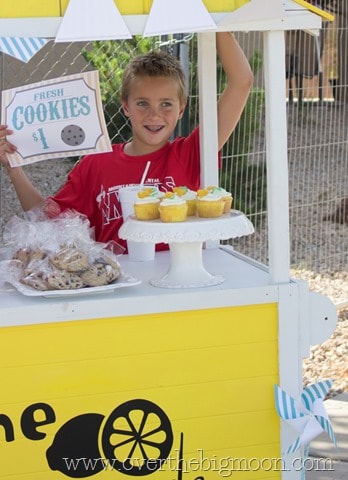 lemonade stand9